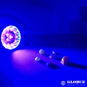 Amber Rhino PRO 225W - Endast ficklampa