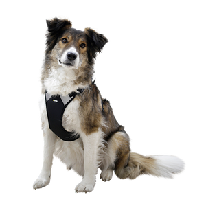 Hundsele Pulsive - Hals 62-85 cm - Bröst 72-96 cm – Kerbl