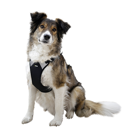 Hundsele Pulsive - Hals 62-85 cm - Bröst 72-96 cm – Kerbl