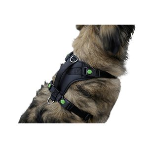 Hundsele Pulsive - Hals 36–50 cm - Bröst 46–60 cm – Kerbl