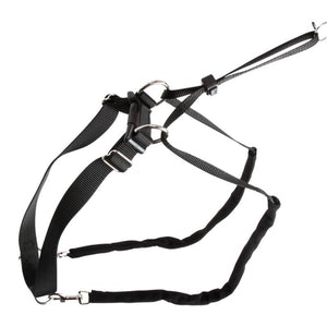 Hundsele Maxi Leader - Hals 30–45 cm – Kerbl