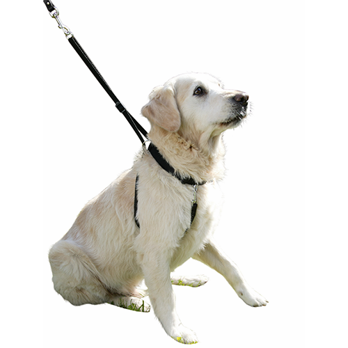 Hundsele Maxi Leader - Hals 30–45 cm – Kerbl