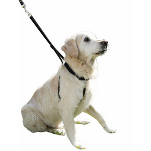 Hundsele Maxi Leader - Hals 30–45 cm – Kerbl
