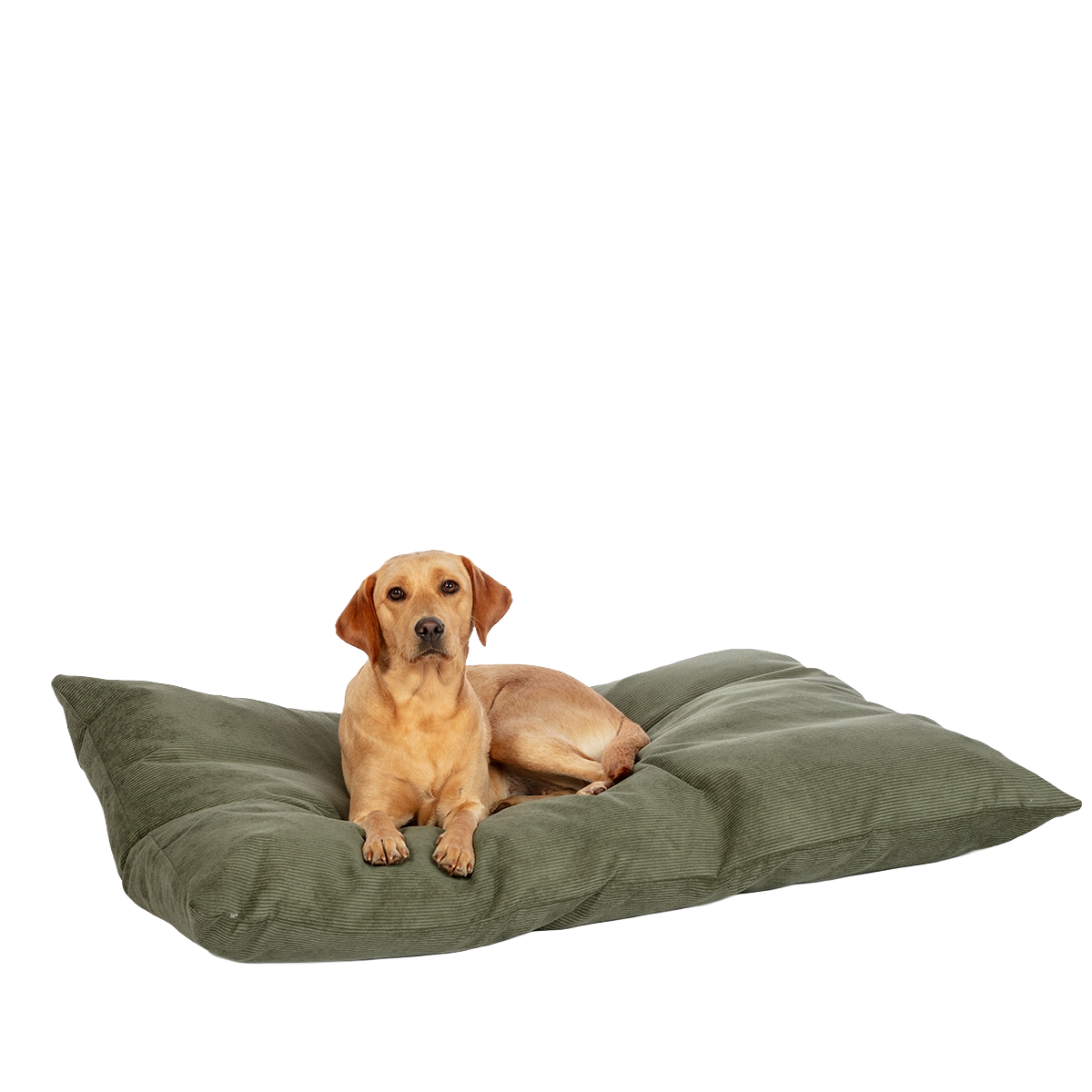 D.D. Elden Fern Deep Duvet L