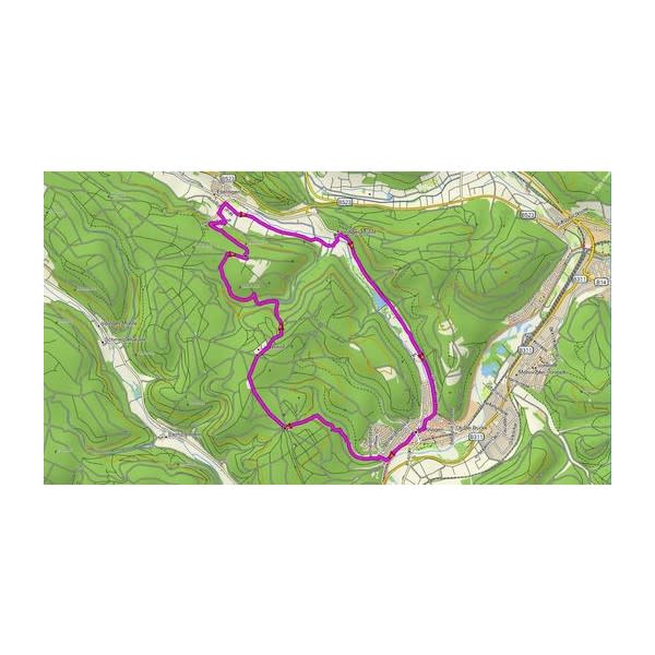 MicroSD™/SD™-kort: TOPO Tyskland v9 PRO – Garmin