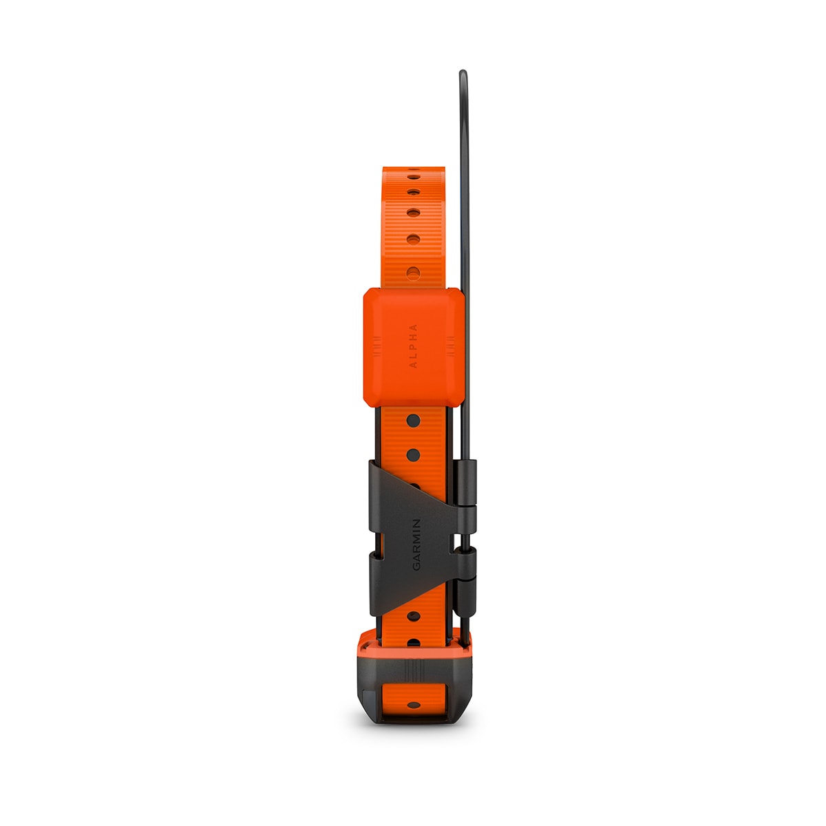 T20 hundhalsband - Garmin