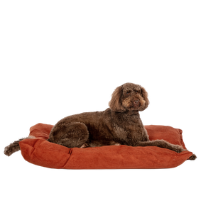 D.D. Elden Rust Deep Duvet M
