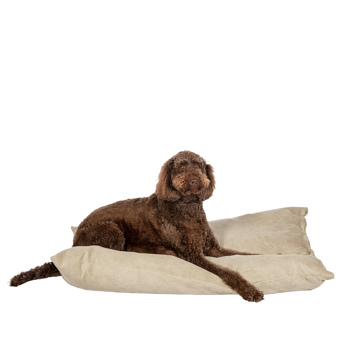 D.D. Elden Stone Deep Duvet M
