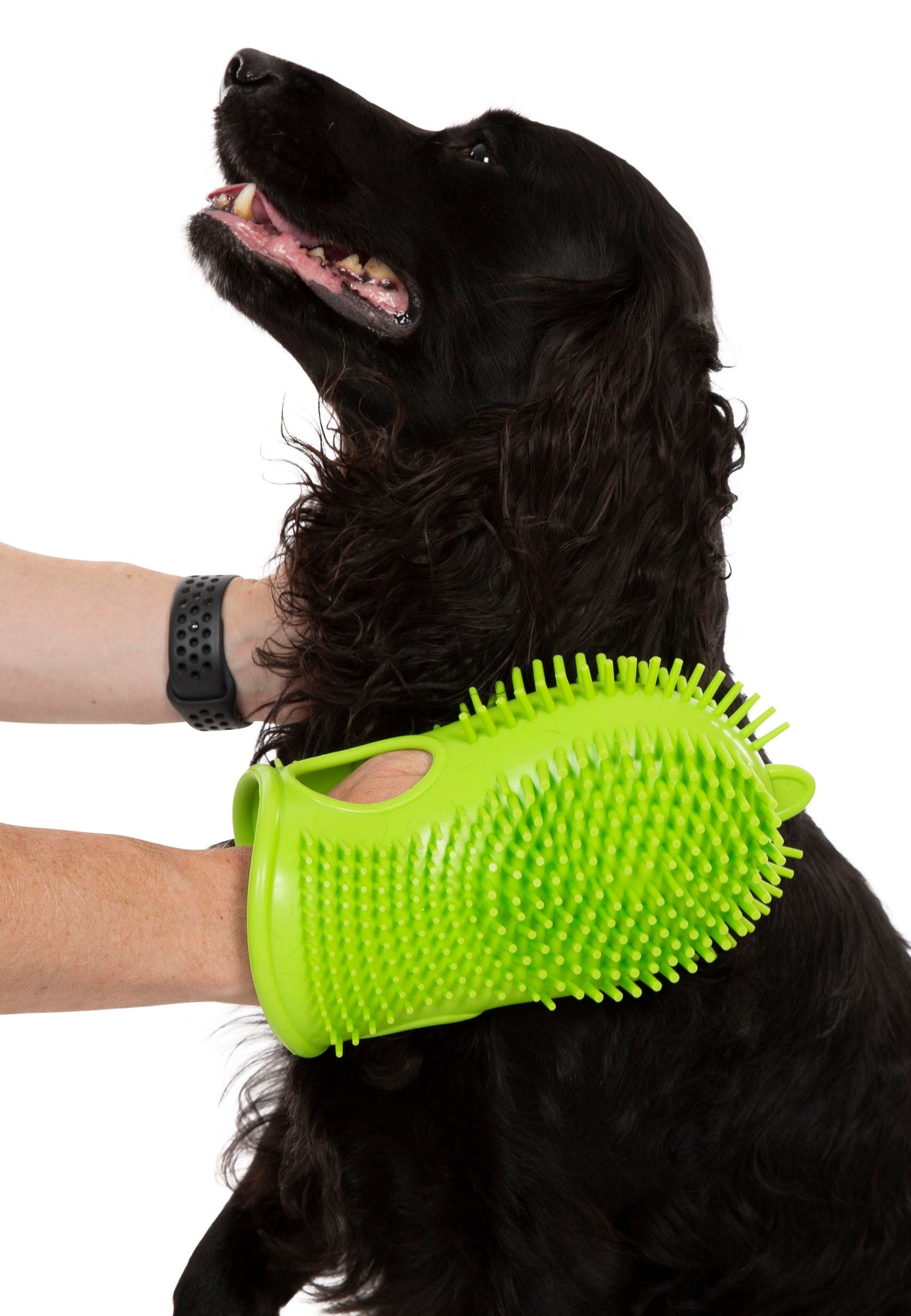 Mucky - Lime - Trespass