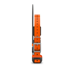 T20 hundhalsband - Garmin