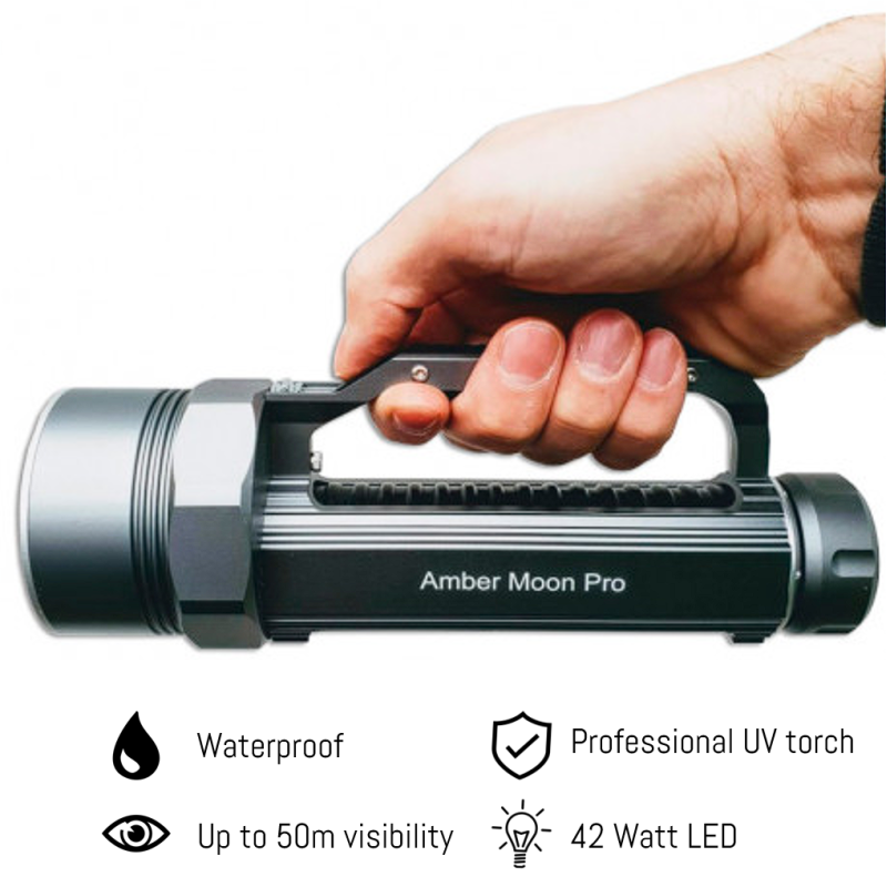 Amber Moon PRO 42W - STARTKIT