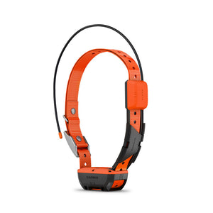 Standardbatteripakke (Alpha® T 20 hundehalsbånd) 2