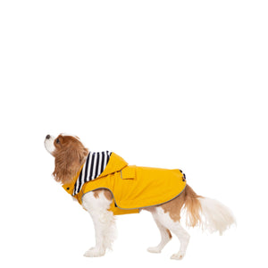 Trespass UUACPTTR0021 SSH