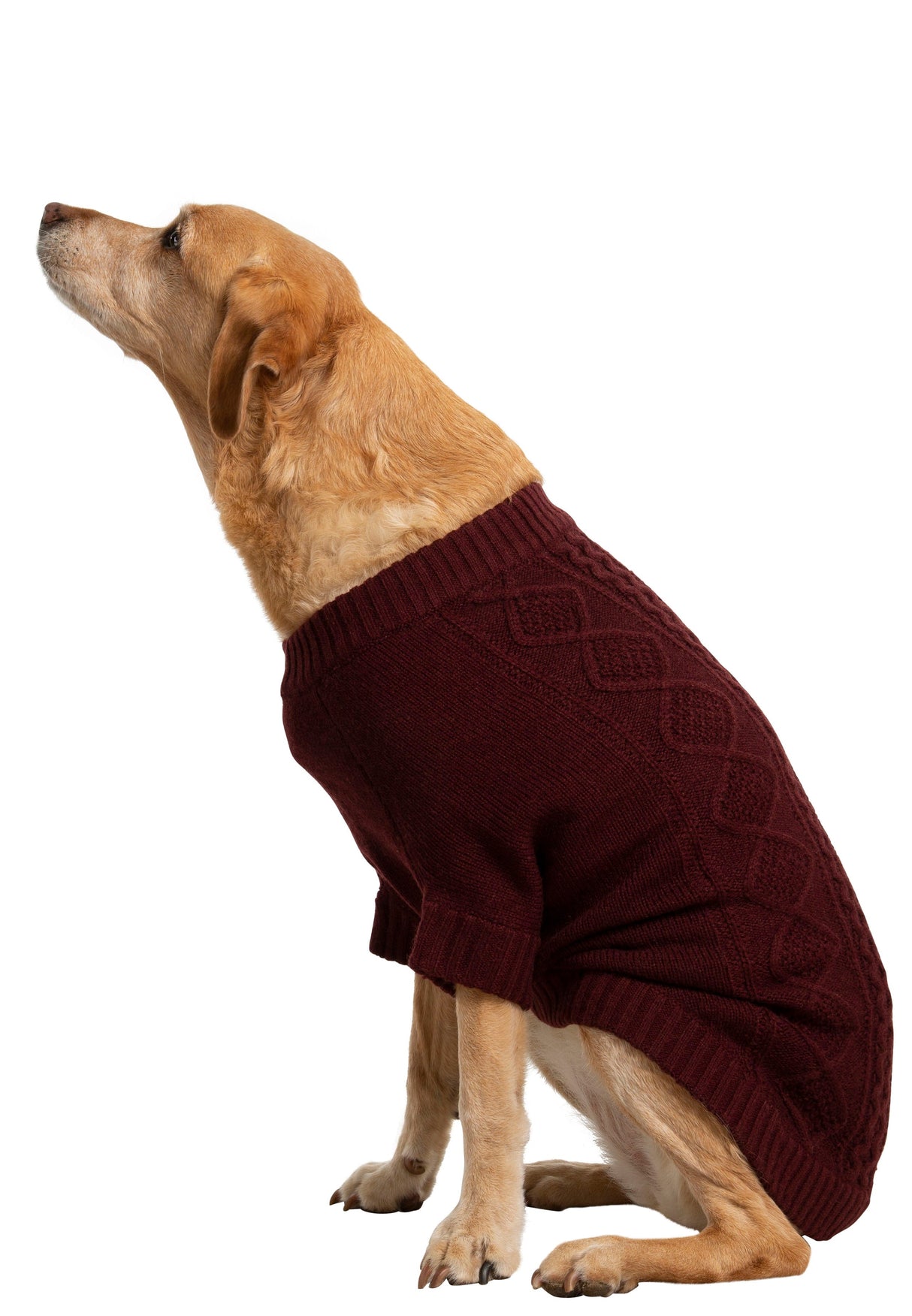Snowhound - Merlot - Trespass