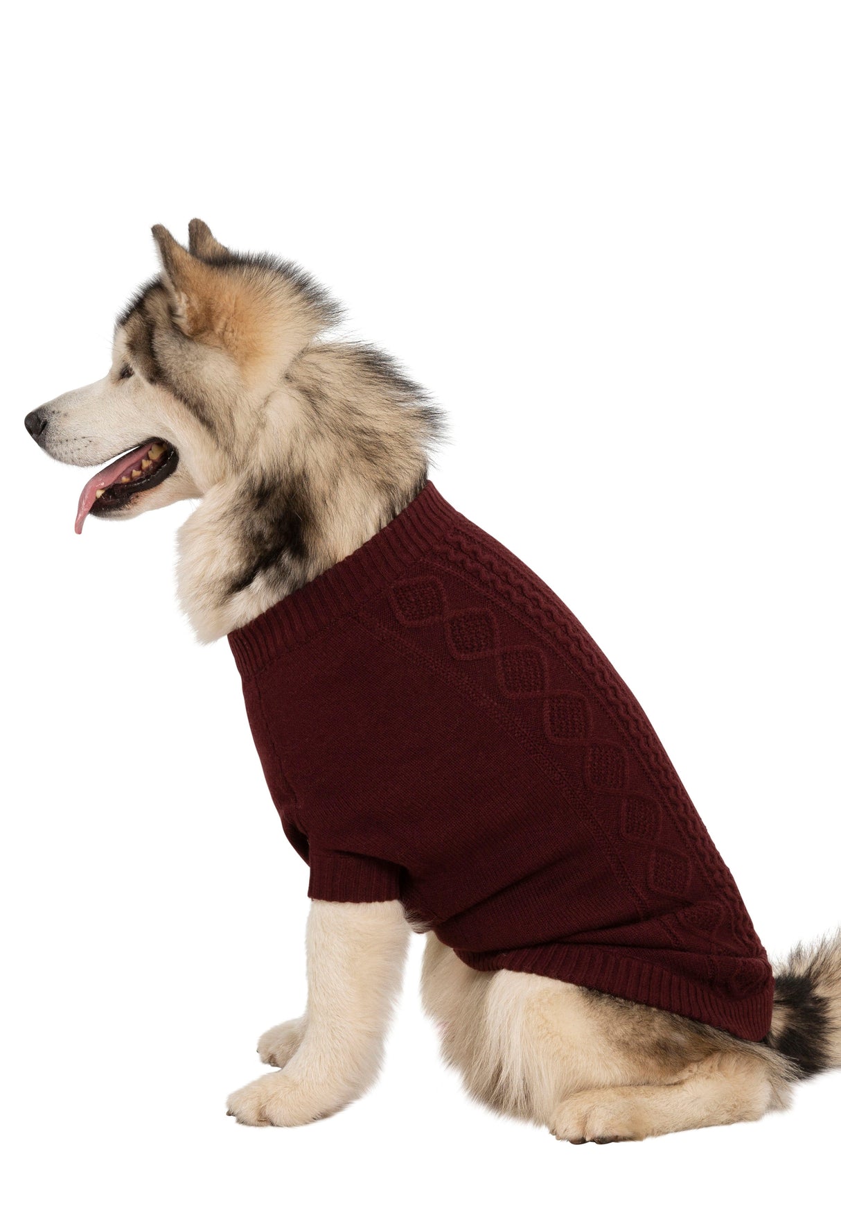 Snowhound - Merlot - Trespass