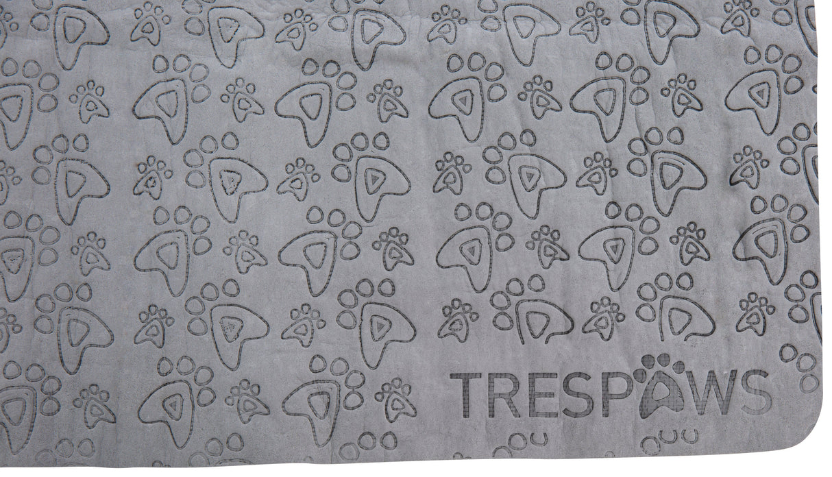 Sooty - Flint - Trespass