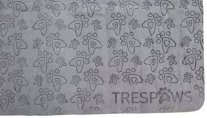 Sooty - Flint - Trespass