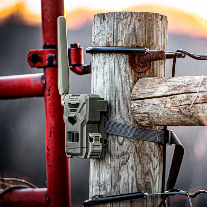 Spypoint Flex-M – Spypoint