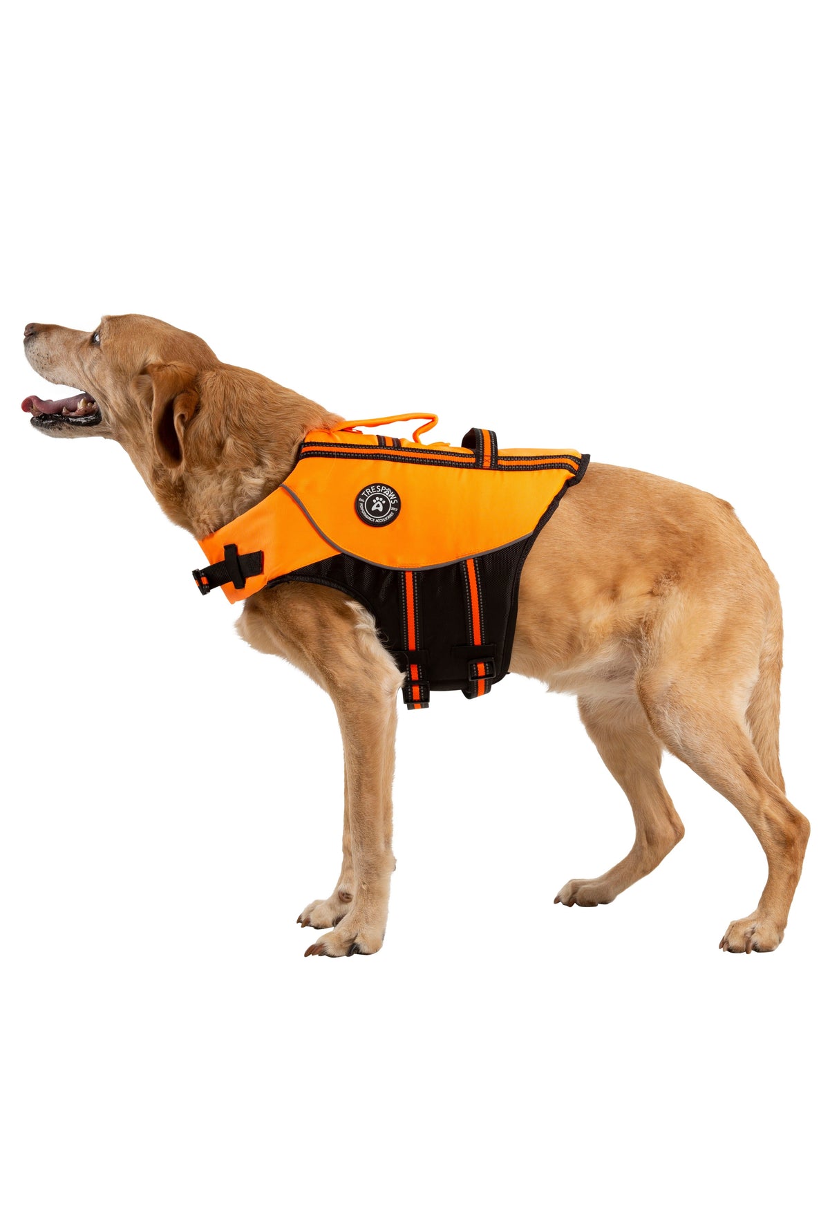 Surfdog - High Vis - Trespass