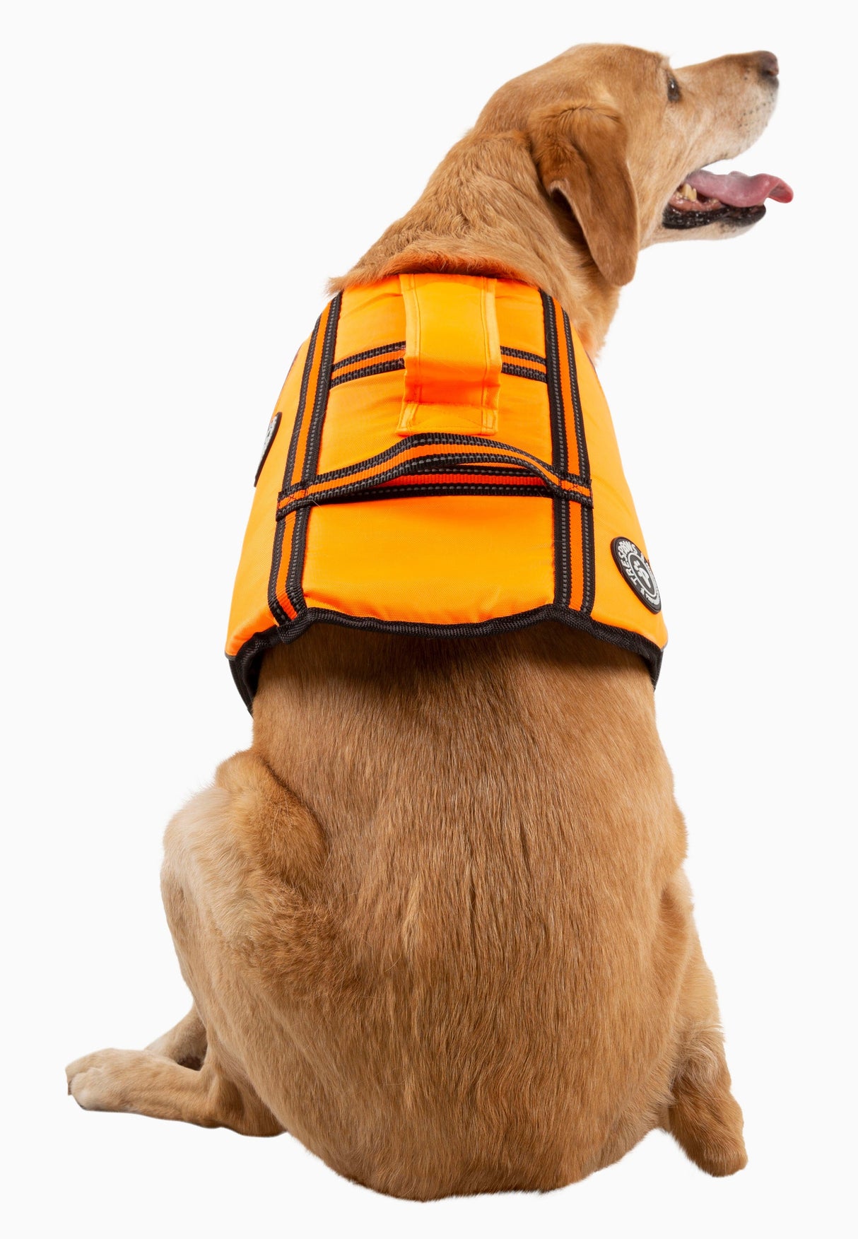 Surfdog - High Vis - Trespass