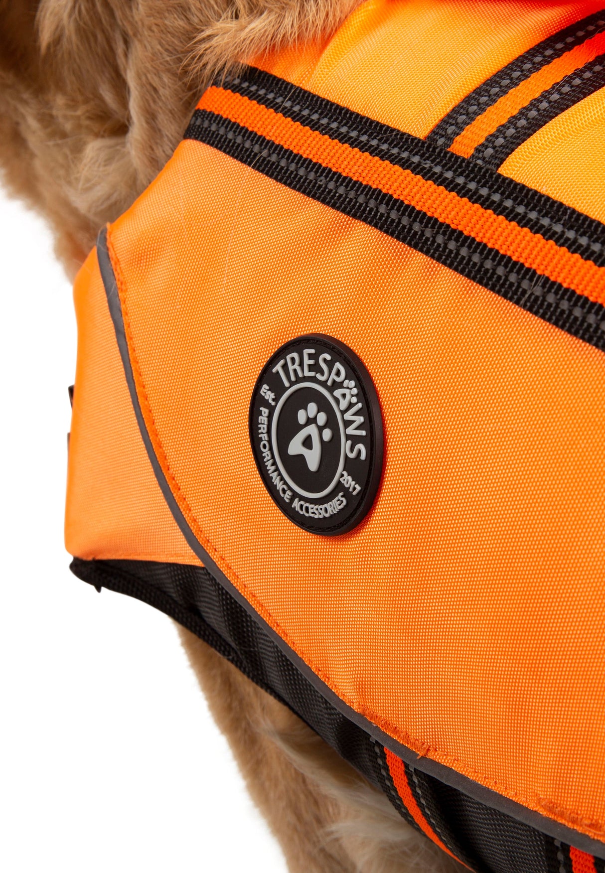 Surfdog - High Vis - Trespass