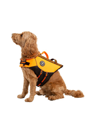 Surfdog - High Vis - Trespass