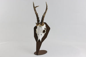 Troféplatta bordsmodell för bock Diamond / Corten - Torp Solution